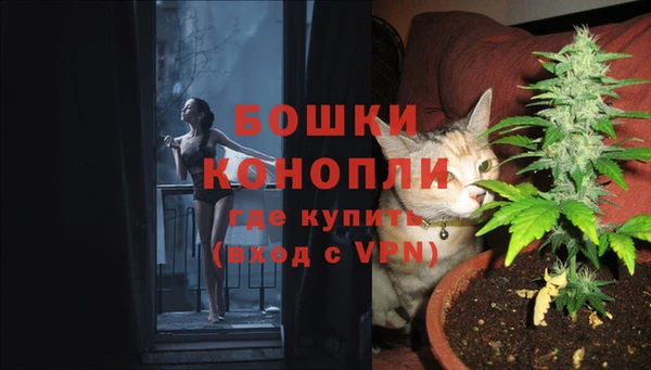 spice Белокуриха