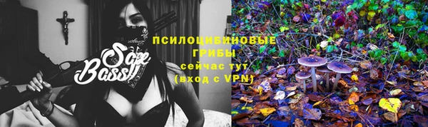 первитин Белоозёрский