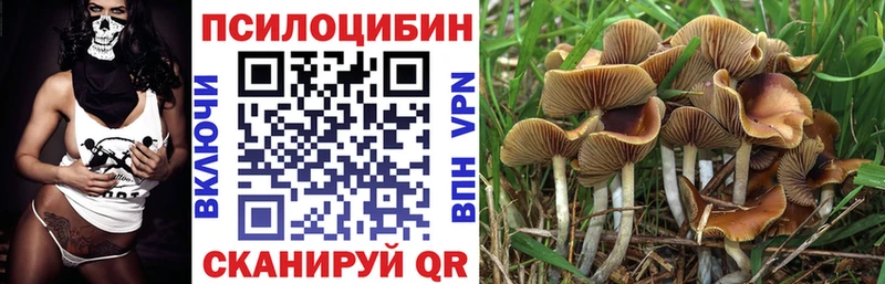 Галлюциногенные грибы прущие грибы  ссылка на мегу маркетплейс  Свободный  где купить наркотик 